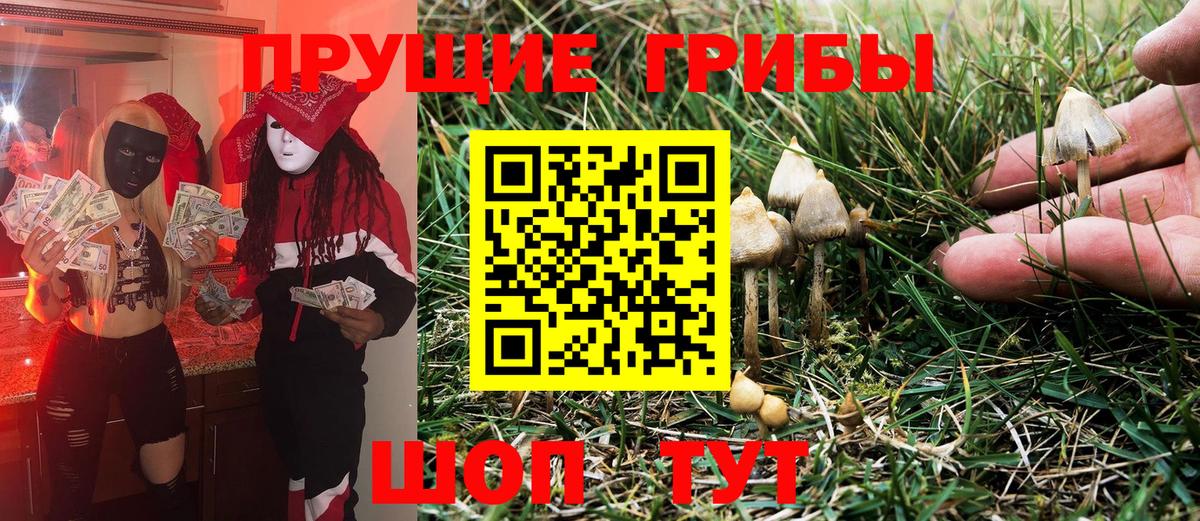Псилоцибиновые грибы MAGIC MUSHROOMS Урус-Мартан