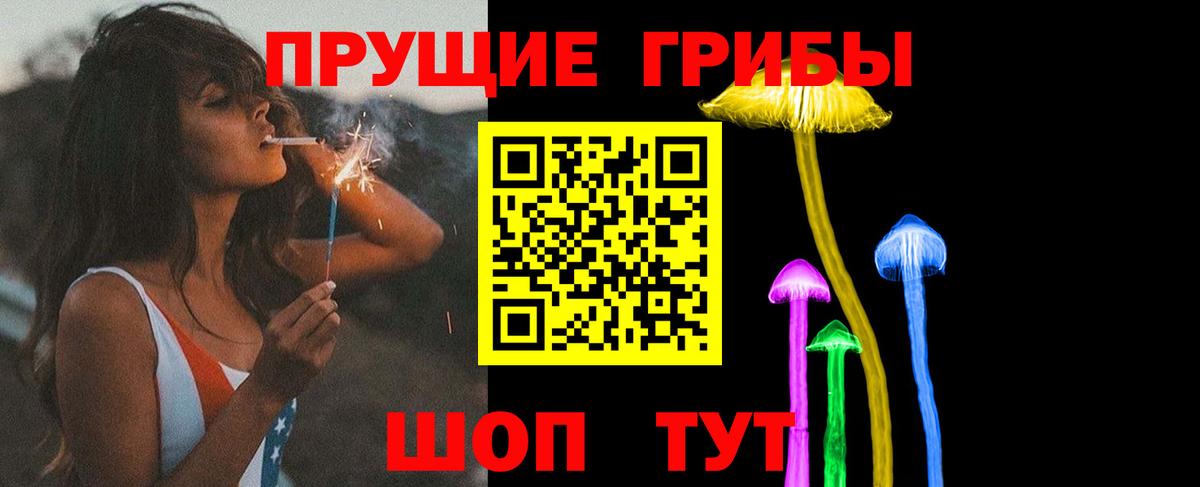 Галлюциногенные грибы Psilocybe  хочу наркоту  Вход с VPN  Урус-Мартан  Псилоцибиновые грибы Psilocybine cubensis 