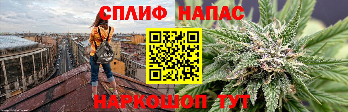 Бошки Шишки Amnesia Урус-Мартан
